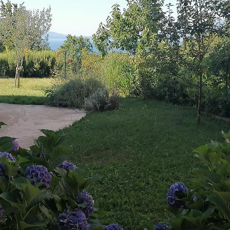 Apartment The View Costabella 里耶卡 外观 照片